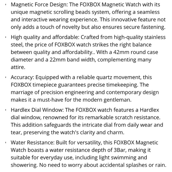 Foxbox Magnetic Mens Watch.